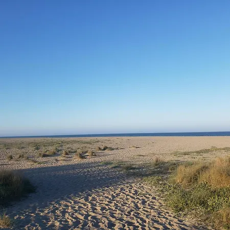 T2 100 M De La * Argelès-sur-Mer